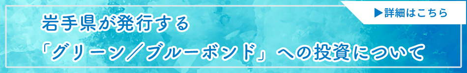 グリーン／ブルーボンドへの投資について